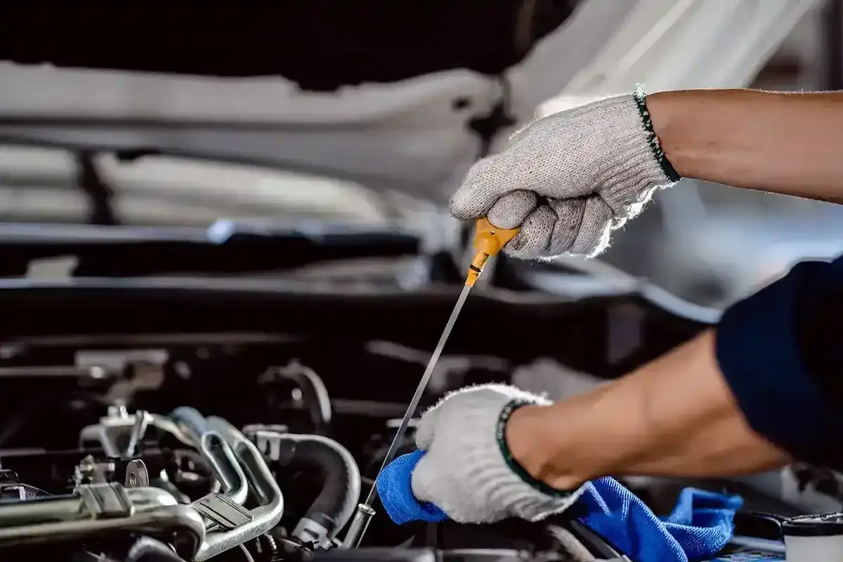 Check engine oil with a dipstick_0